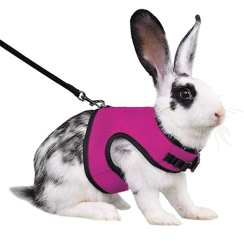 Mutil-Colors Breathable Stylish Vest Small Pet Carrier Bag Adjustable Soft Harness and Elastic Leash Set for Rabbits