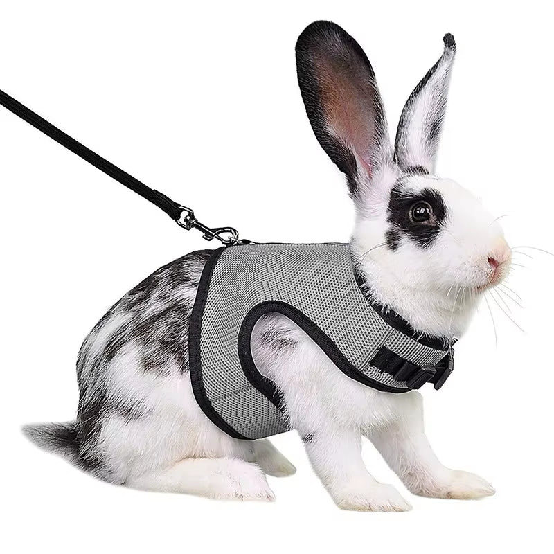 Mutil-Colors Breathable Stylish Vest Small Pet Carrier Bag Adjustable Soft Harness and Elastic Leash Set for Rabbits