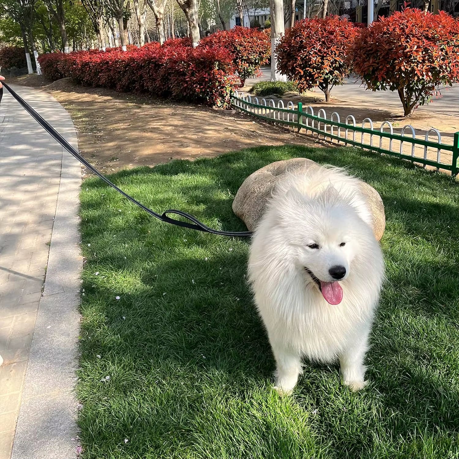 Heavy Duty Double Handle Dog Leash with Reflective Strips for Night Safety - Ideal for Large and Extra Large Breeds - Perfect Fo