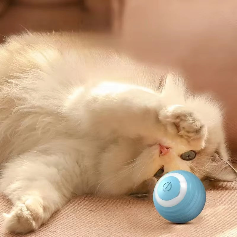 Cat Interactive Ball Training Self-Moving Kitten Electric Cat Ball Tovs Elect Ronic Automatic Rolling Magic Ball Toys for Cat