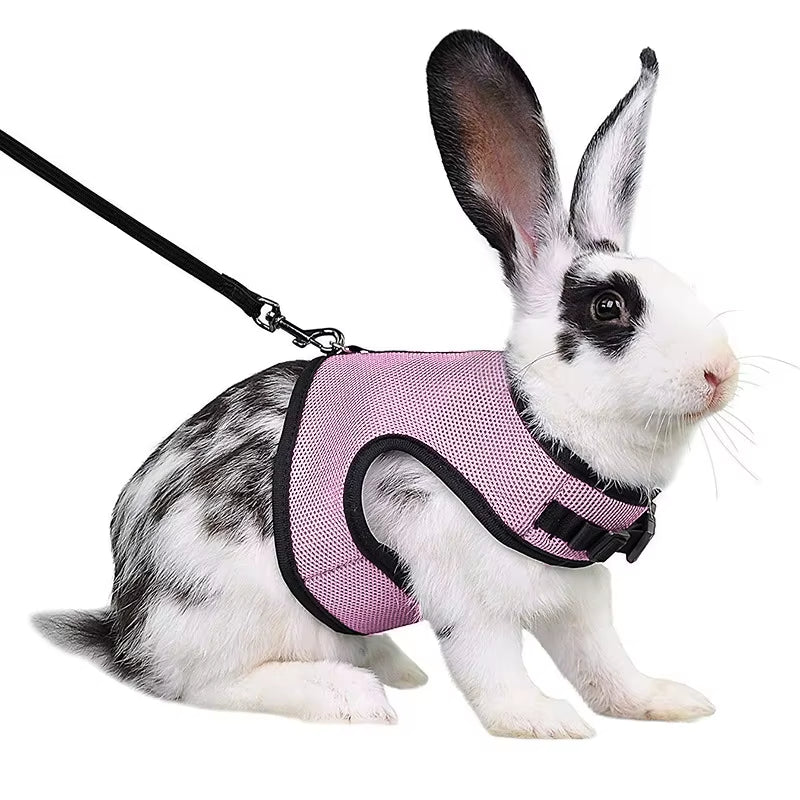 Mutil-Colors Breathable Stylish Vest Small Pet Carrier Bag Adjustable Soft Harness and Elastic Leash Set for Rabbits