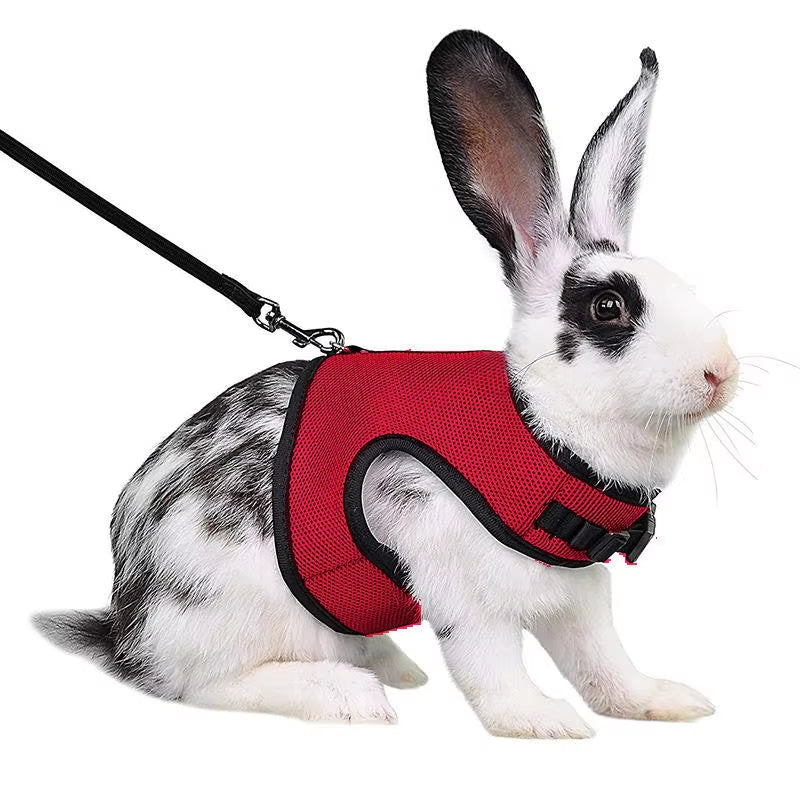 Mutil-Colors Breathable Stylish Vest Small Pet Carrier Bag Adjustable Soft Harness and Elastic Leash Set for Rabbits