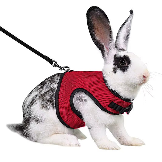 Mutil-Colors Breathable Stylish Vest Small Pet Carrier Bag Adjustable Soft Harness and Elastic Leash Set for Rabbits